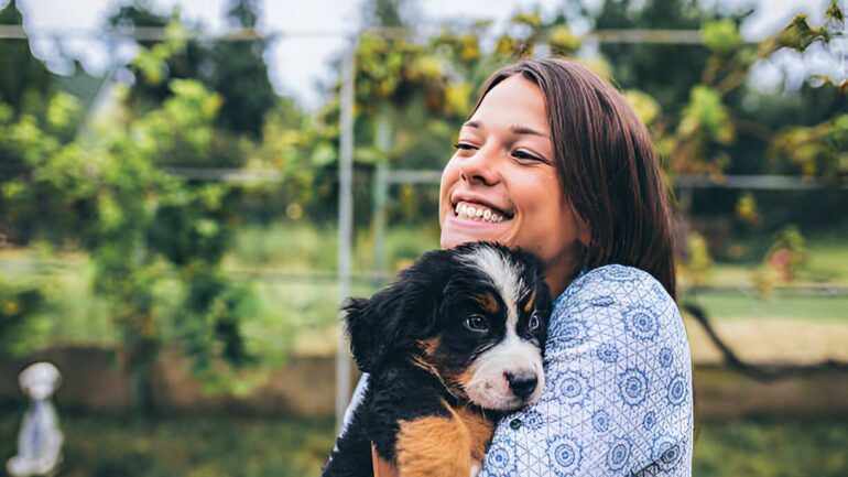 crucial tips on what to prepare for future dog owners